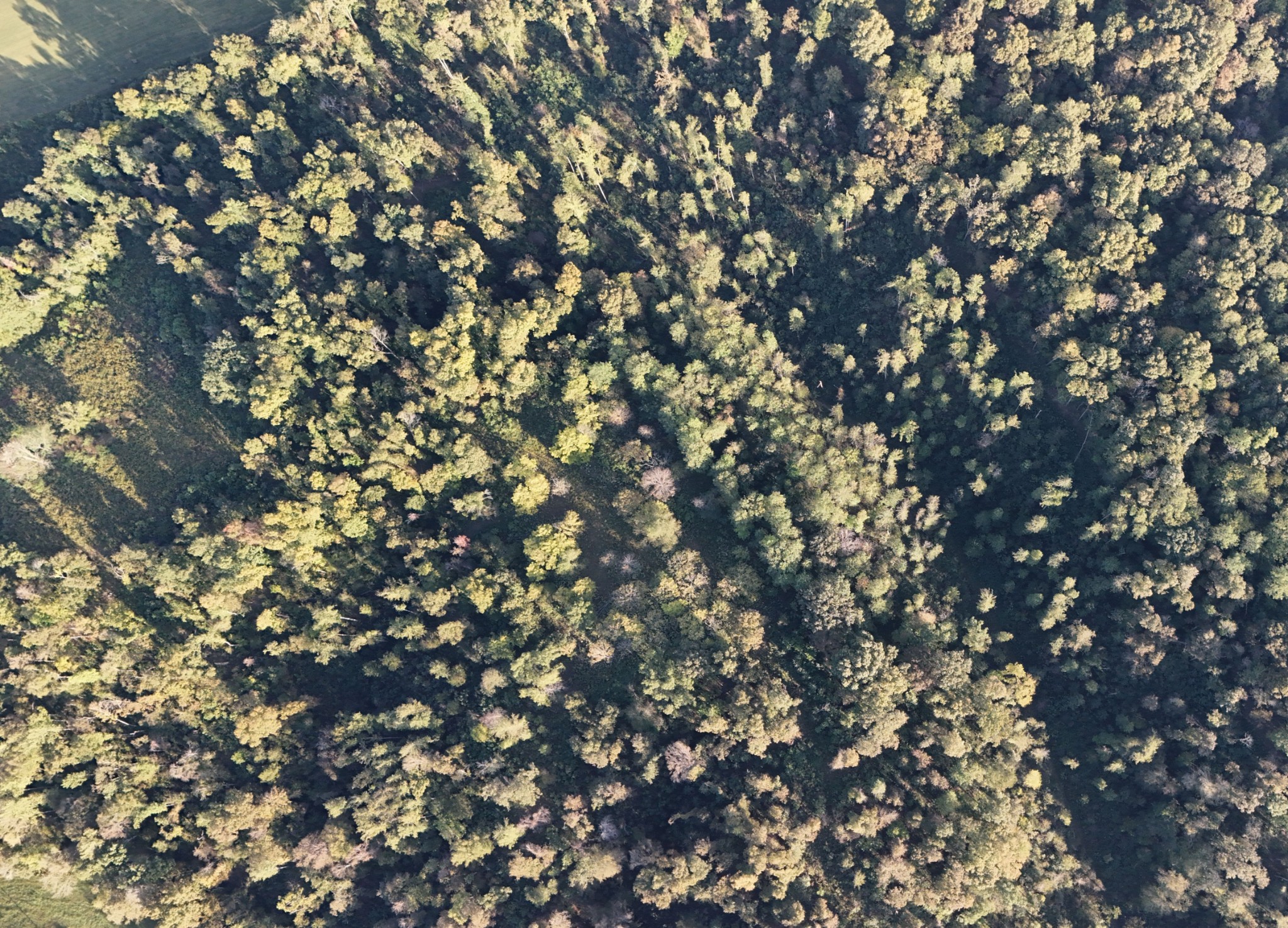 806 Brandon Hollow Road Lynchburg, TN 37352 - Photo 28 of 38