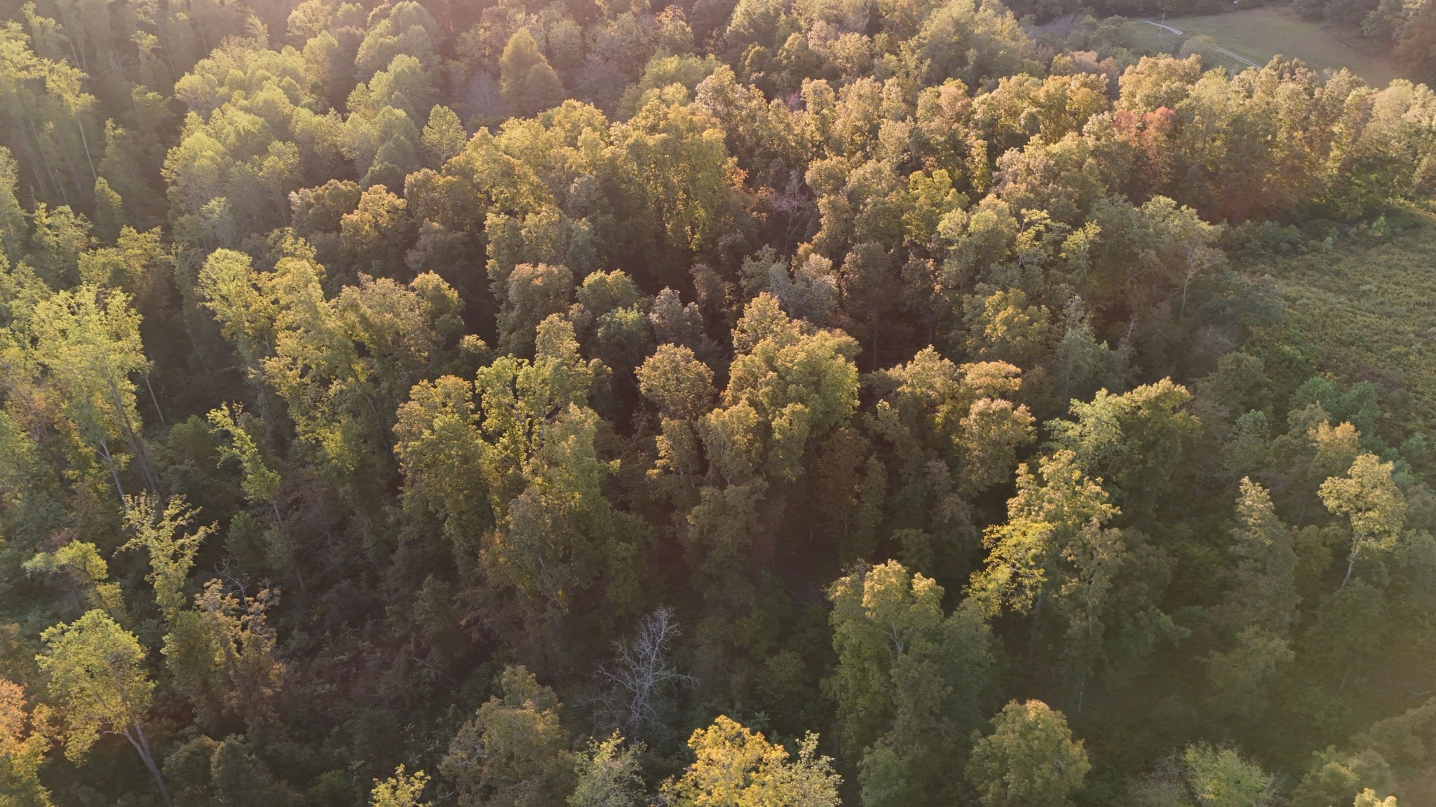 806 Brandon Hollow Road Lynchburg, TN 37352 - Photo 32 of 38