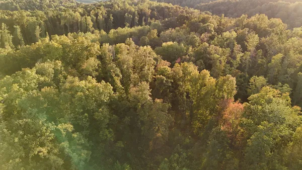 $578,880 | 806 Brandon Hollow Road, Lynchburg, TN 37352