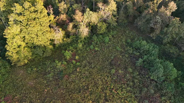 $578,880 | 806 Brandon Hollow Road, Lynchburg, TN 37352