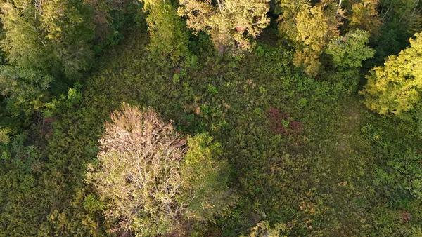 $578,880 | 806 Brandon Hollow Road, Lynchburg, TN 37352