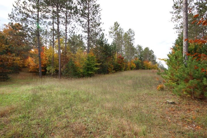 3550 Bowerman Road Kingsley, MI 49649 - Photo 9 of 13 1824898-8.JPG