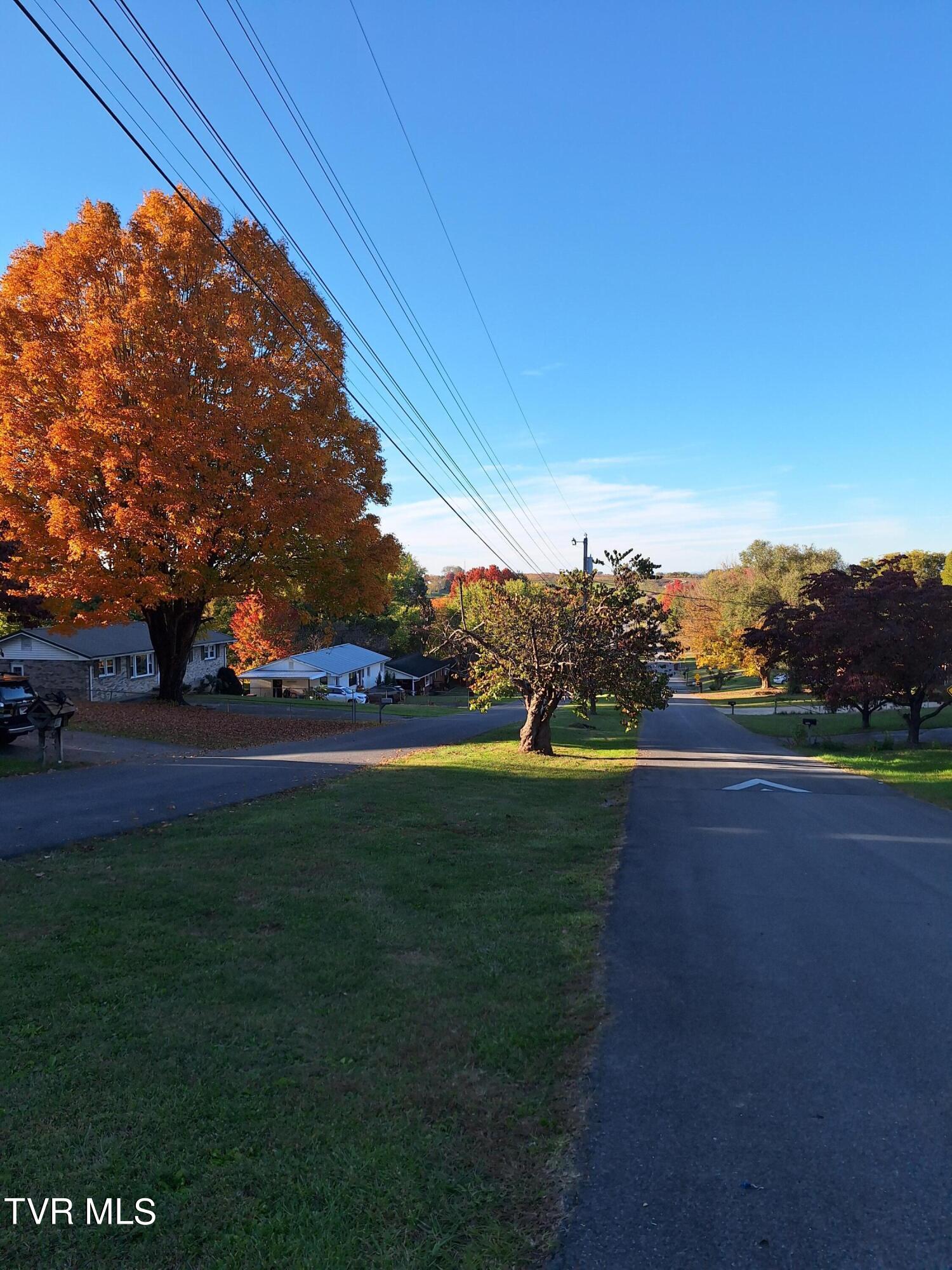 4100 Ranch Road Johnson City, TN 37601 - Photo 28 of 33 07 Street Scene