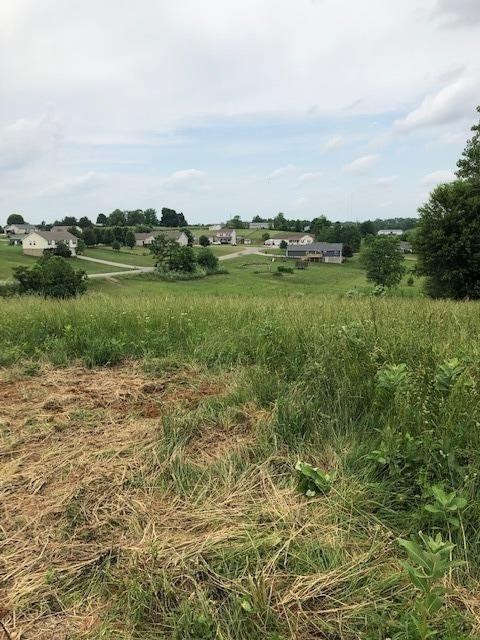 176 Ridgecrest Road Lancaster, KY 40444 - Photo 24 of 29 Distant views out the back.
