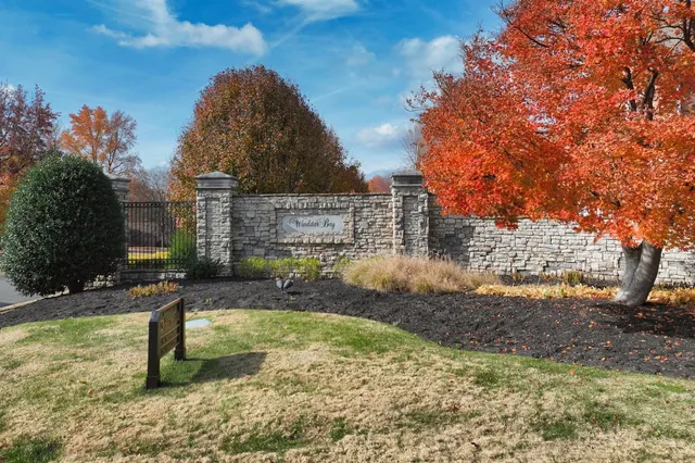 a view of a yard in front of the house