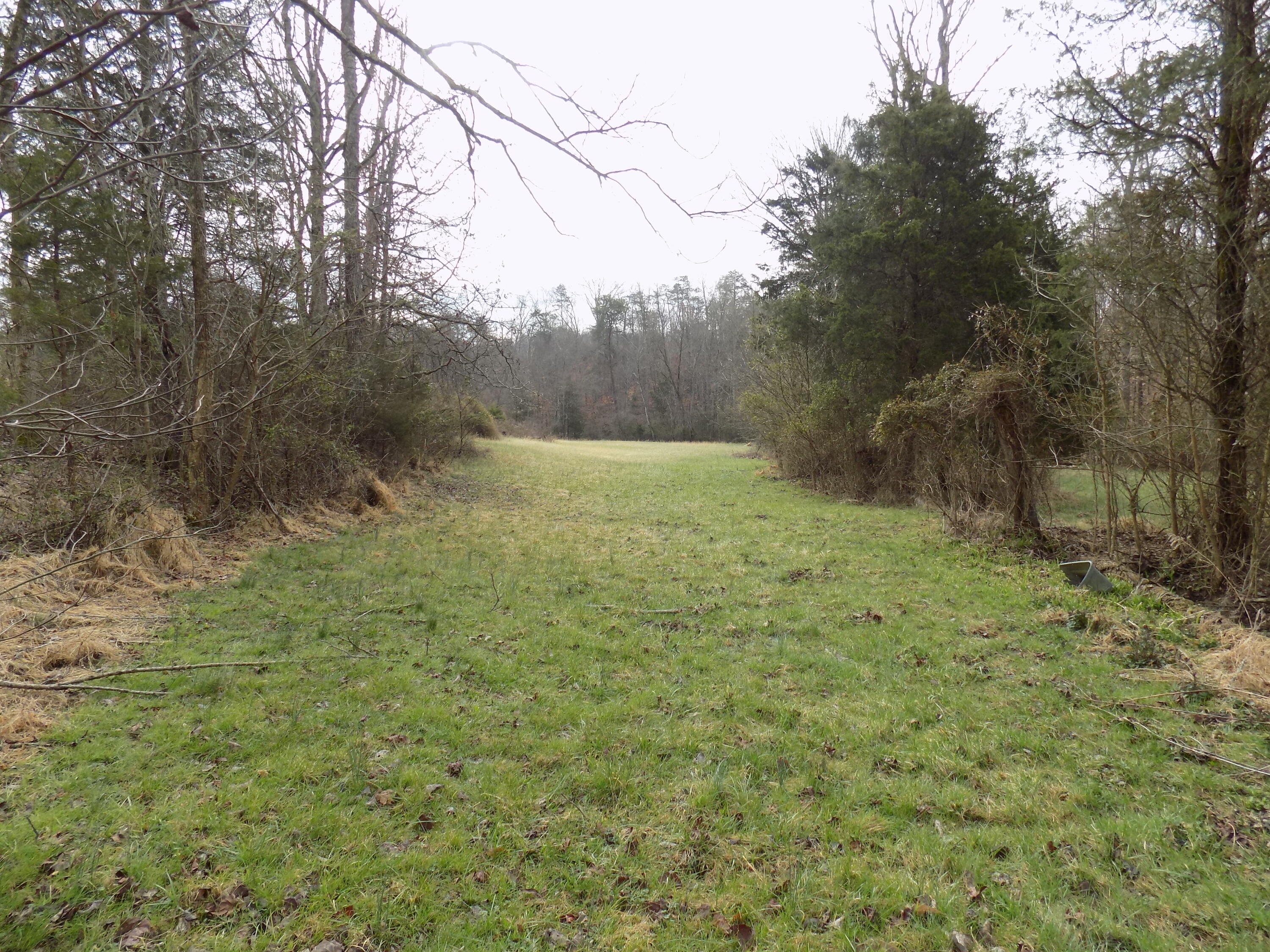 Tbd Beech Grove Road, Unit 5A Bulls Gap, TN 37711 - Photo 11 of 22 DSCN0699