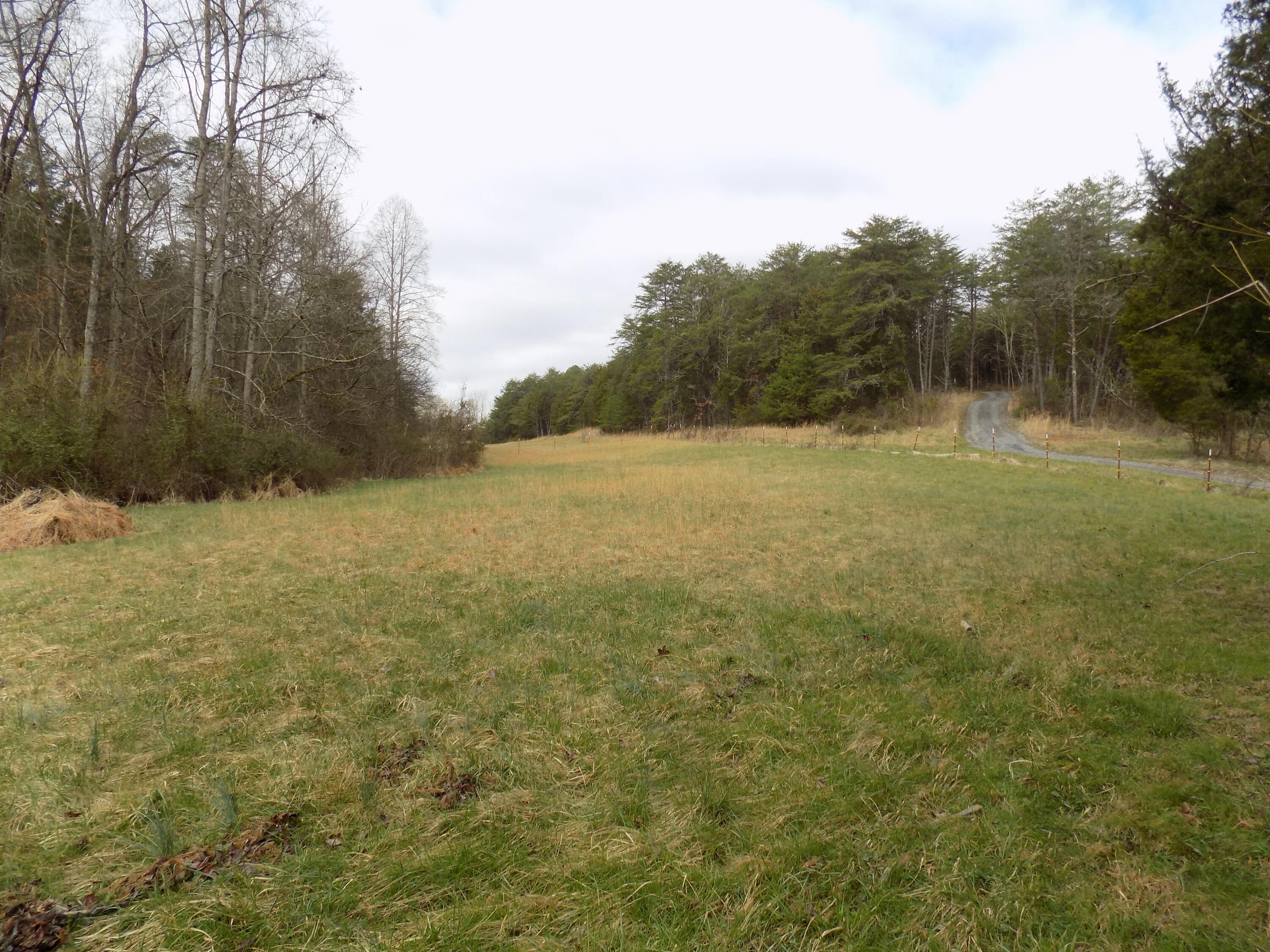 Tbd Beech Grove Road, Unit 5A Bulls Gap, TN 37711 - Photo 12 of 22 DSCN0700
