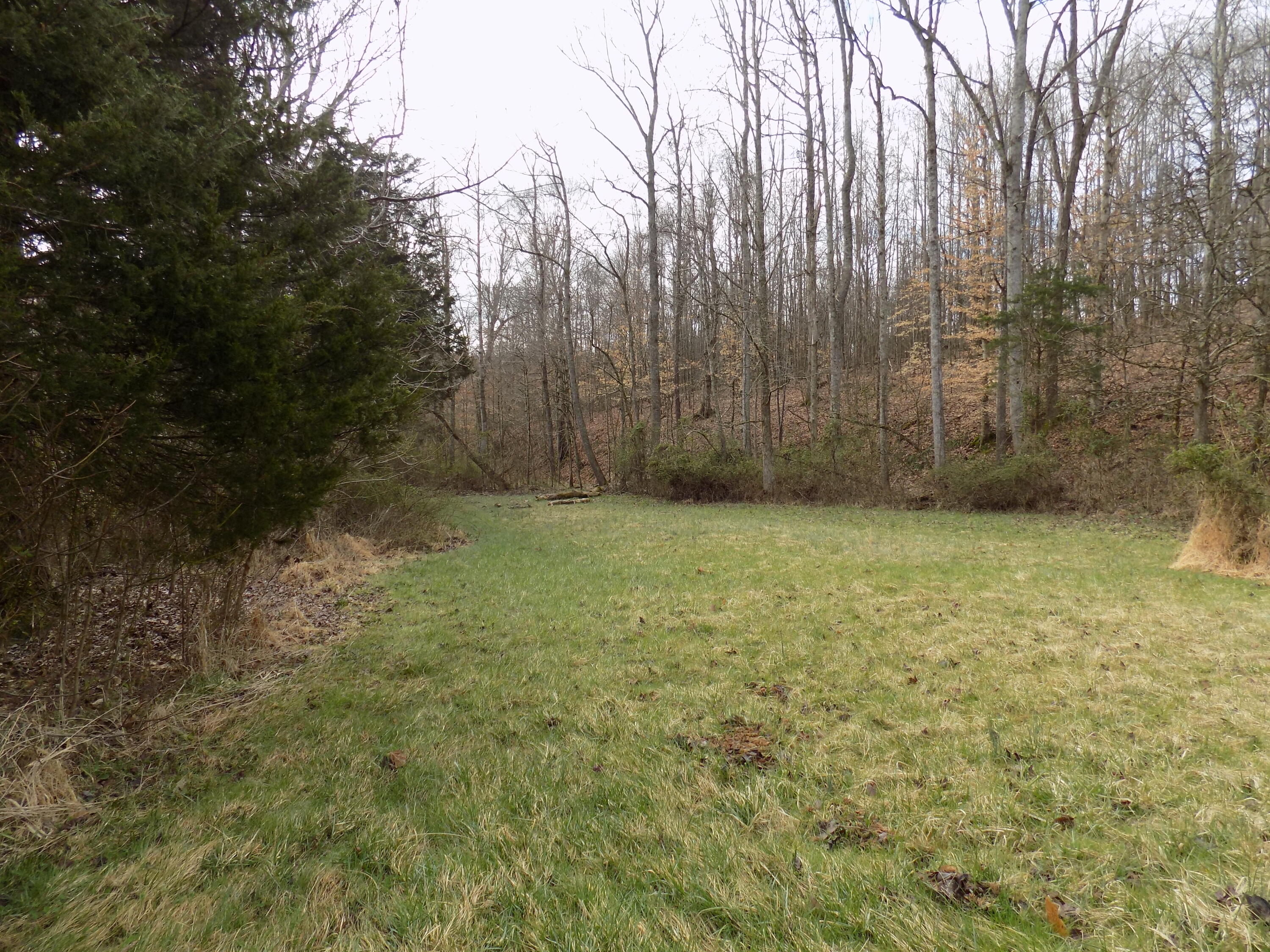 Tbd Beech Grove Road, Unit 5A Bulls Gap, TN 37711 - Photo 14 of 22 DSCN0702