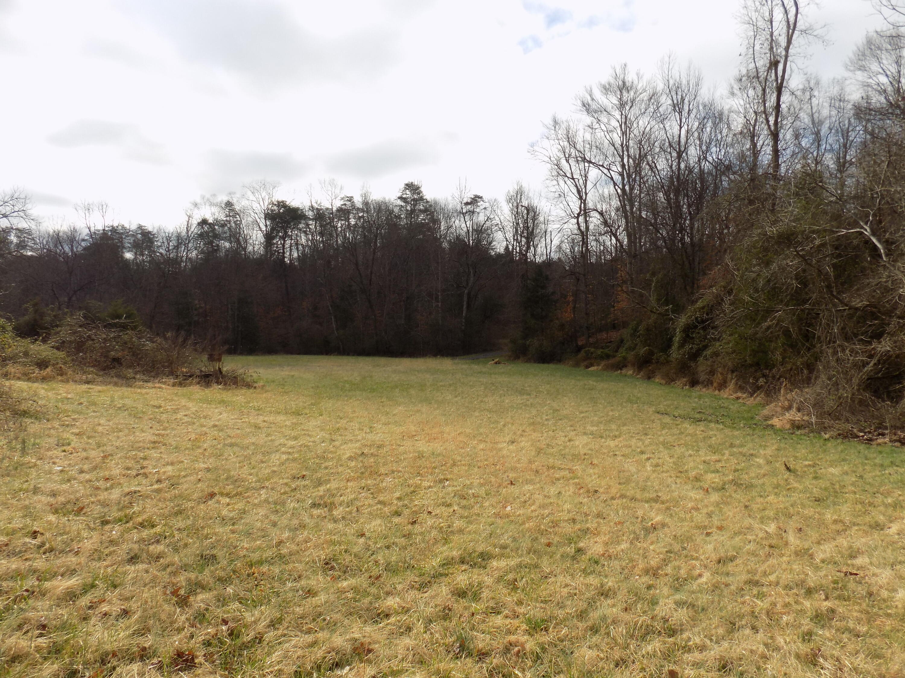 Tbd Beech Grove Road, Unit 5A Bulls Gap, TN 37711 - Photo 15 of 22 DSCN0703