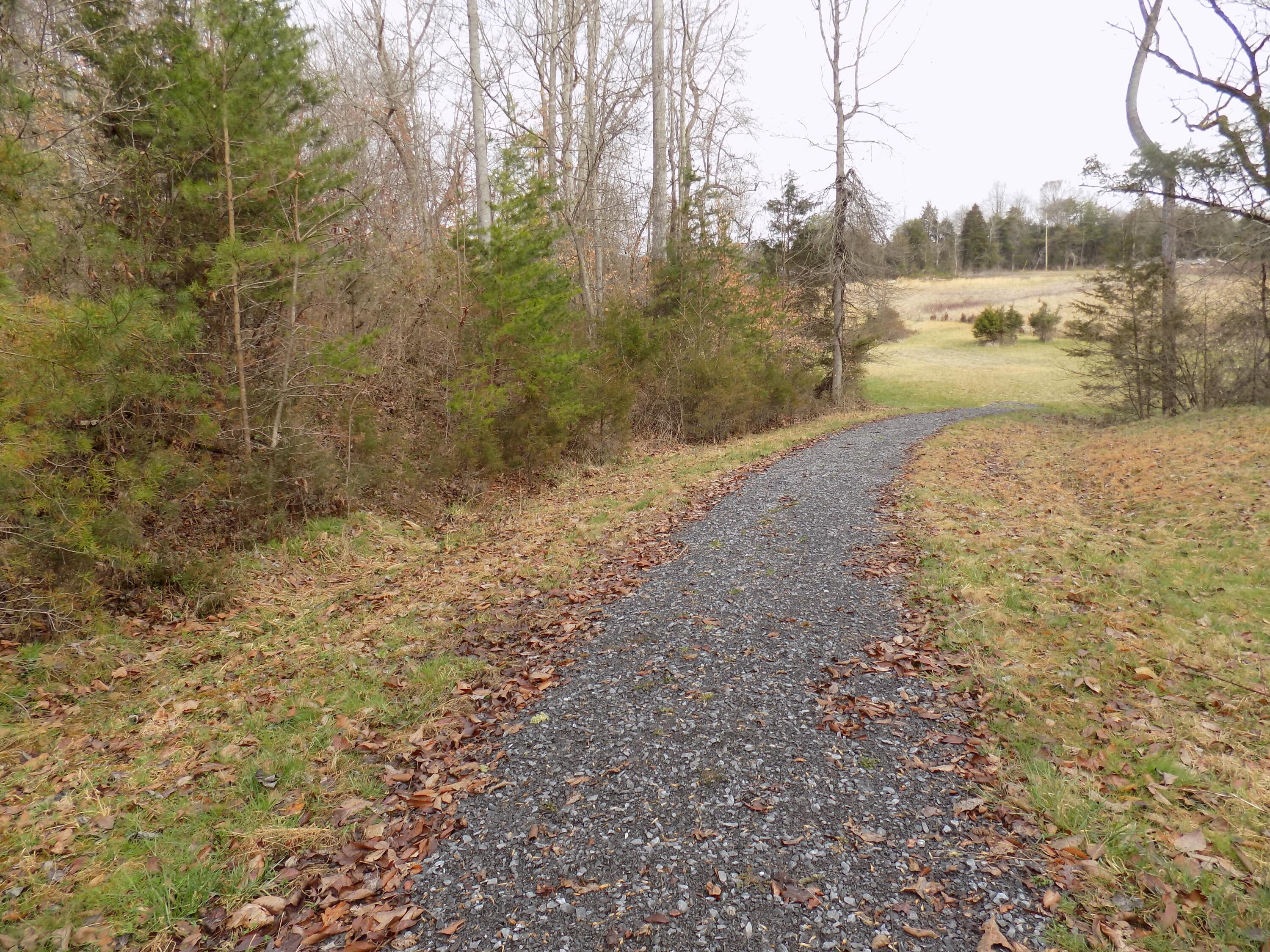 Tbd Beech Grove Road, Unit 5A Bulls Gap, TN 37711 - Photo 20 of 22 DSCN0708