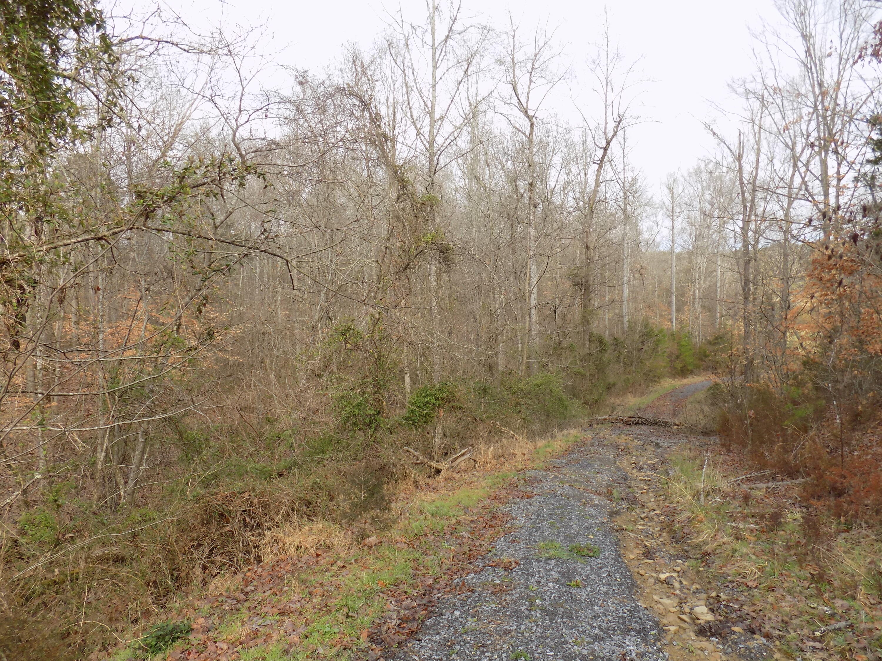 Tbd Beech Grove Road, Unit 5A Bulls Gap, TN 37711 - Photo 21 of 22 DSCN0709