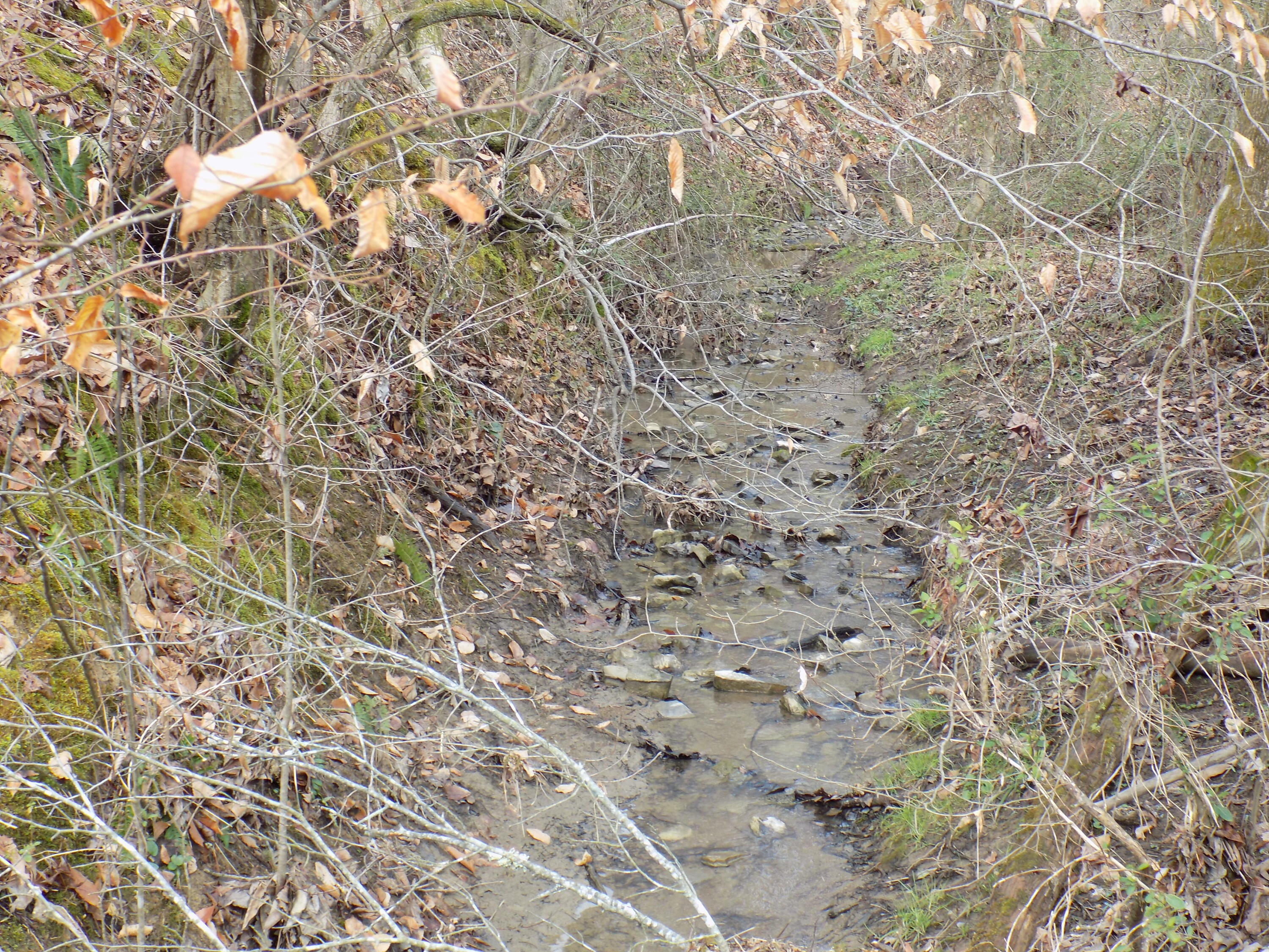 Tbd Beech Grove Road, Unit 5A Bulls Gap, TN 37711 - Photo 5 of 22 DSCN0693