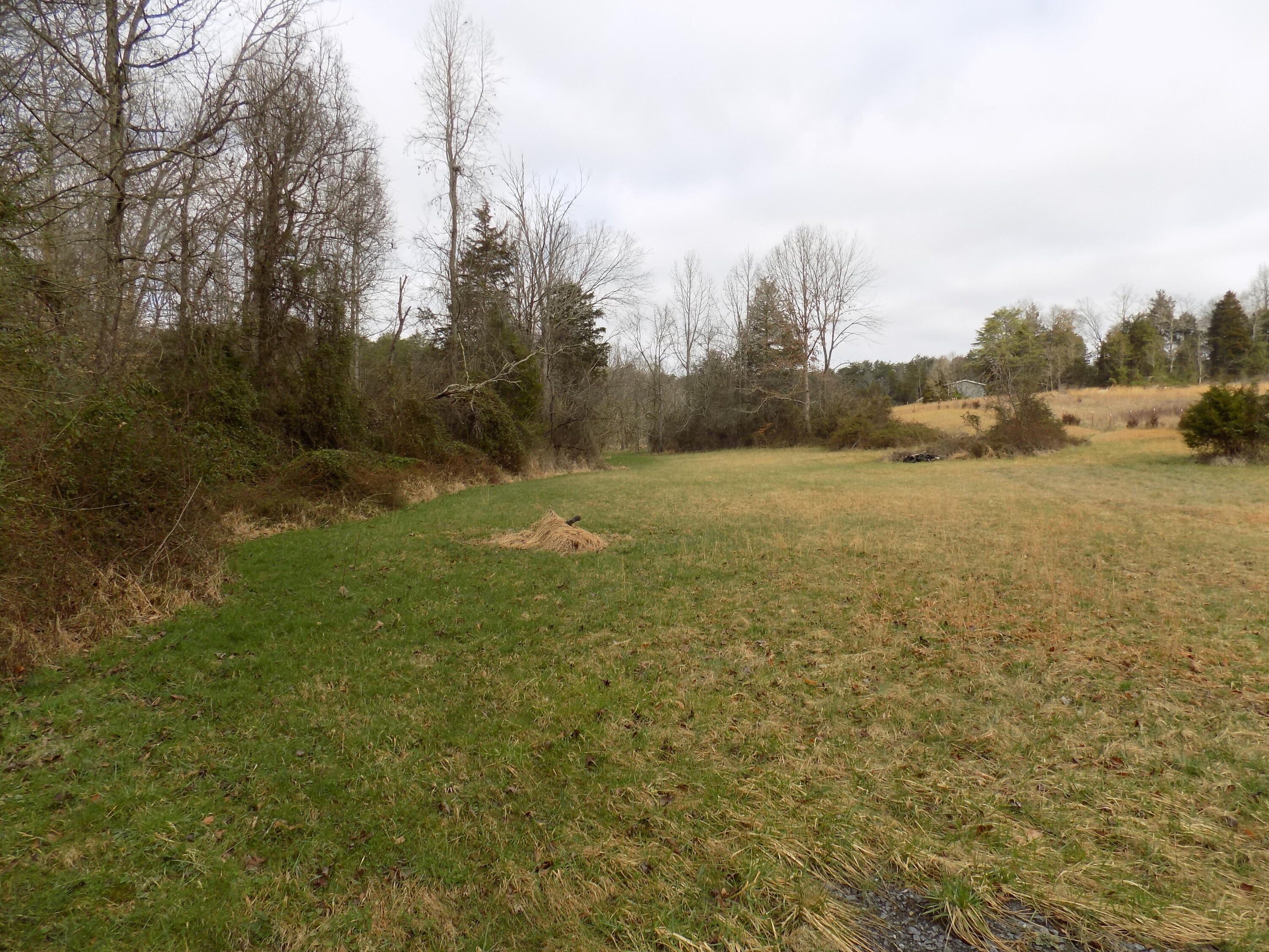 Tbd Beech Grove Road, Unit 5A Bulls Gap, TN 37711 - Photo 6 of 22 DSCN0694