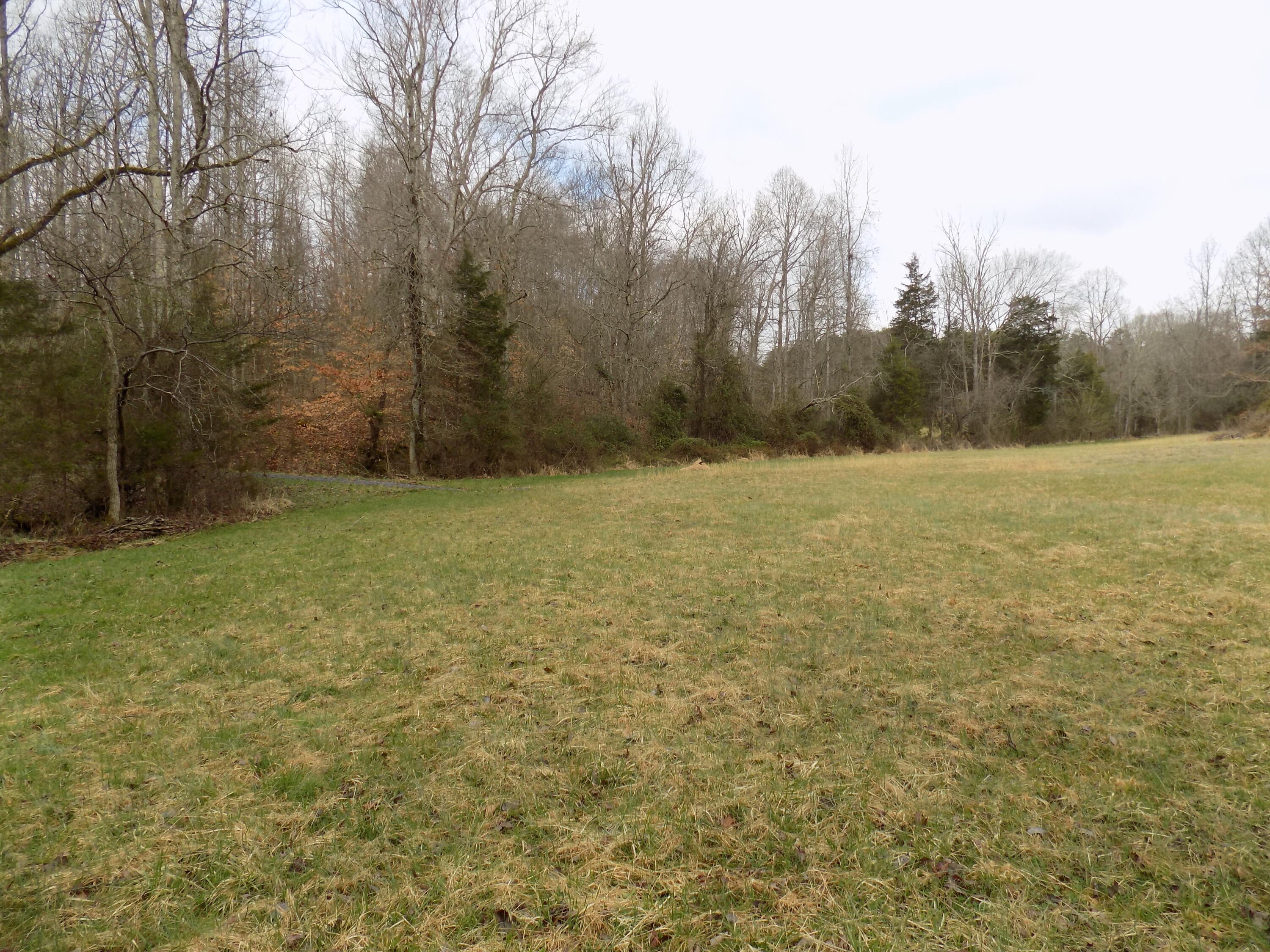 Tbd Beech Grove Road, Unit 5A Bulls Gap, TN 37711 - Photo 7 of 22 DSCN0695