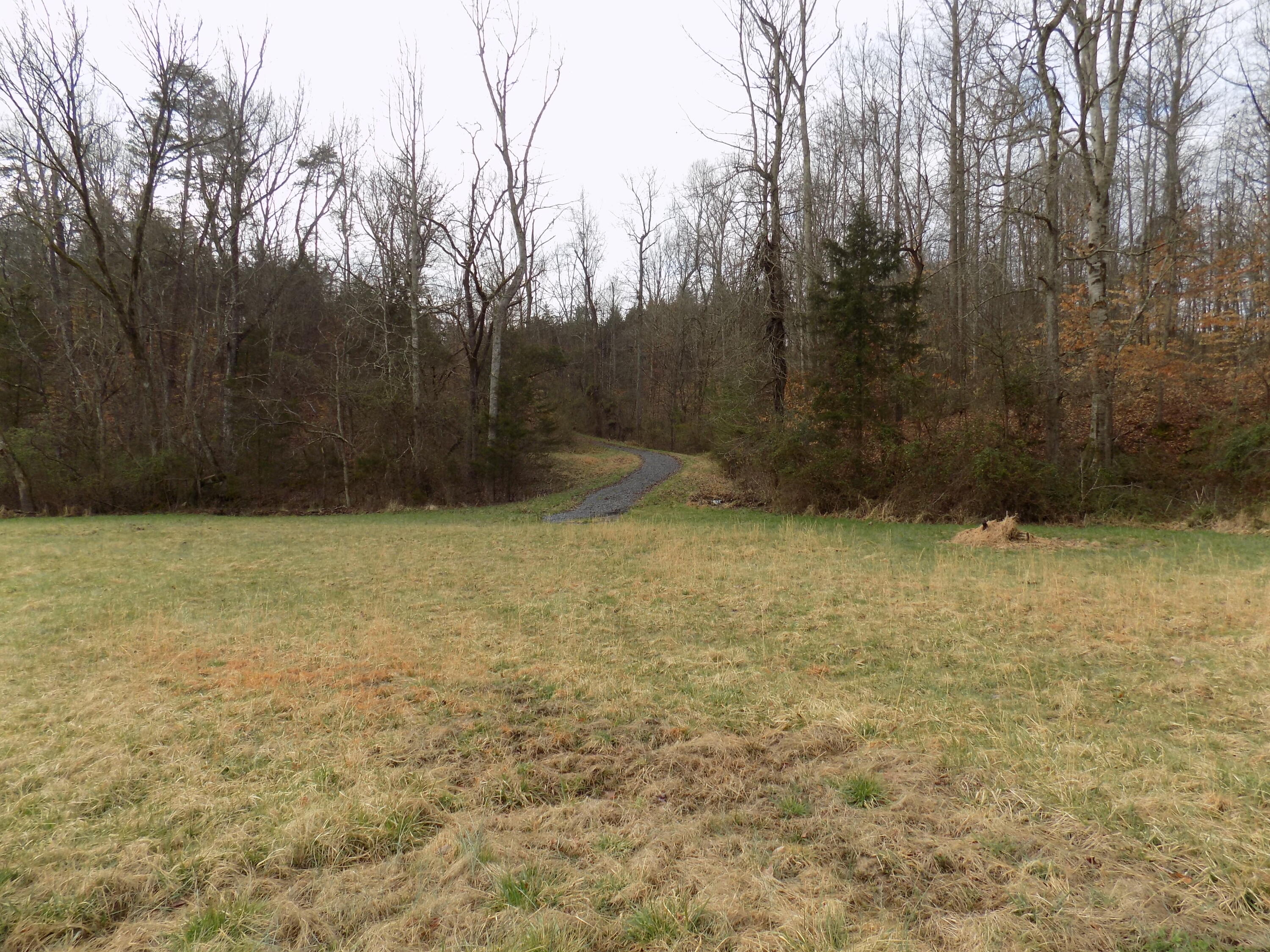 Tbd Beech Grove Road, Unit 5A Bulls Gap, TN 37711 - Photo 8 of 22 DSCN0696