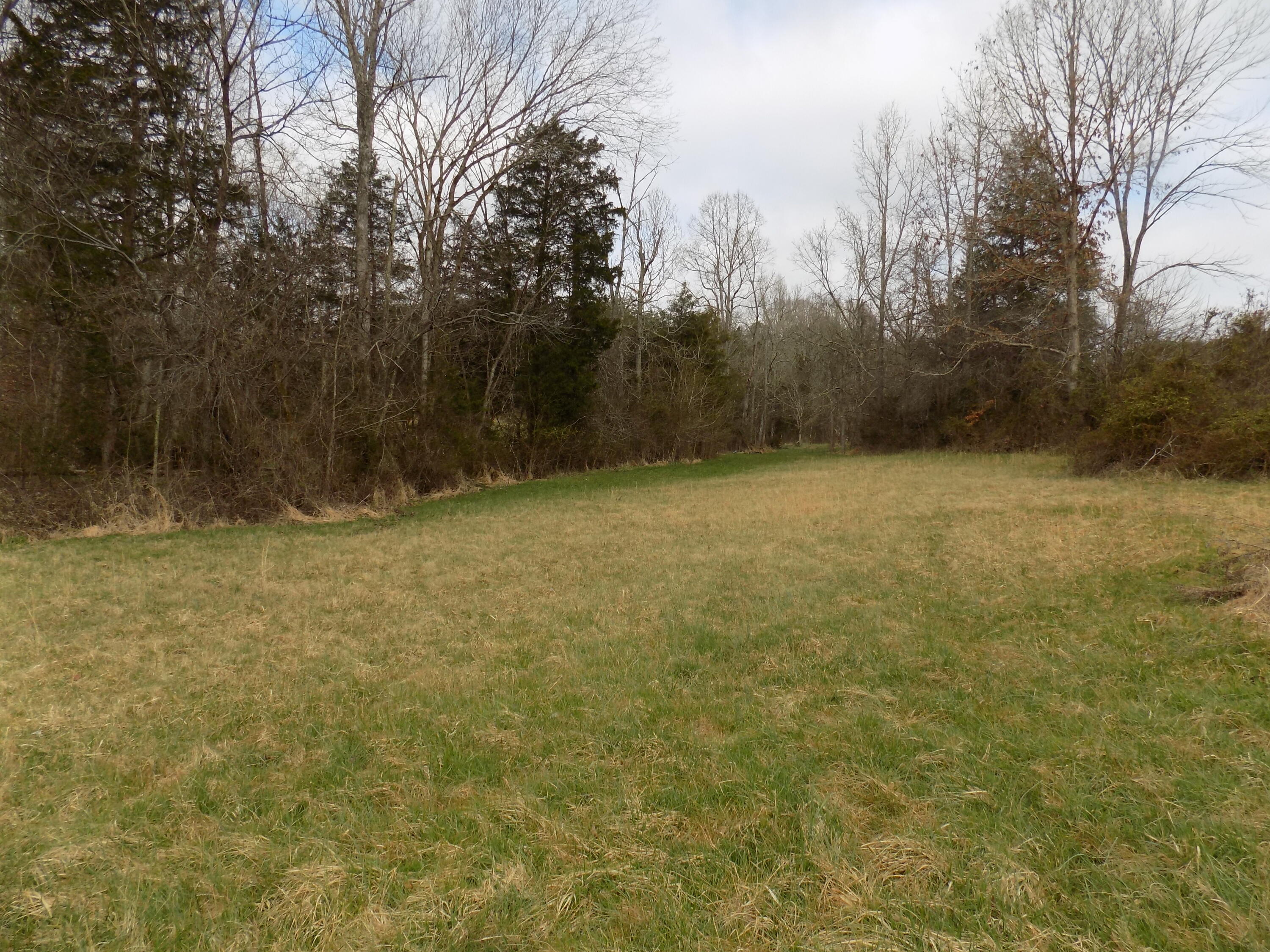 Tbd Beech Grove Road, Unit 5A Bulls Gap, TN 37711 - Photo 9 of 22 DSCN0697