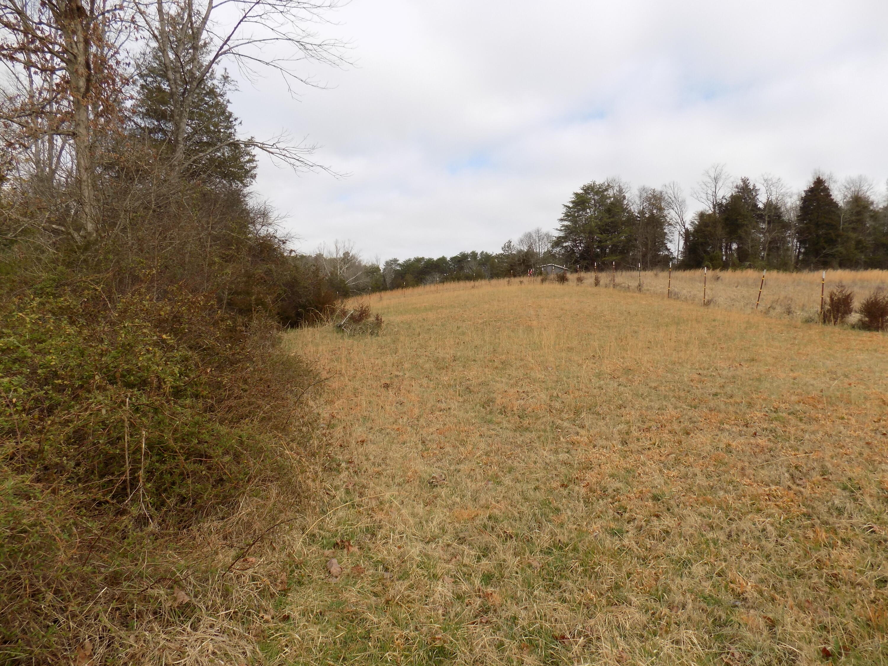 Tbd Beech Grove Road, Unit 5A Bulls Gap, TN 37711 - Photo 10 of 22 DSCN0698