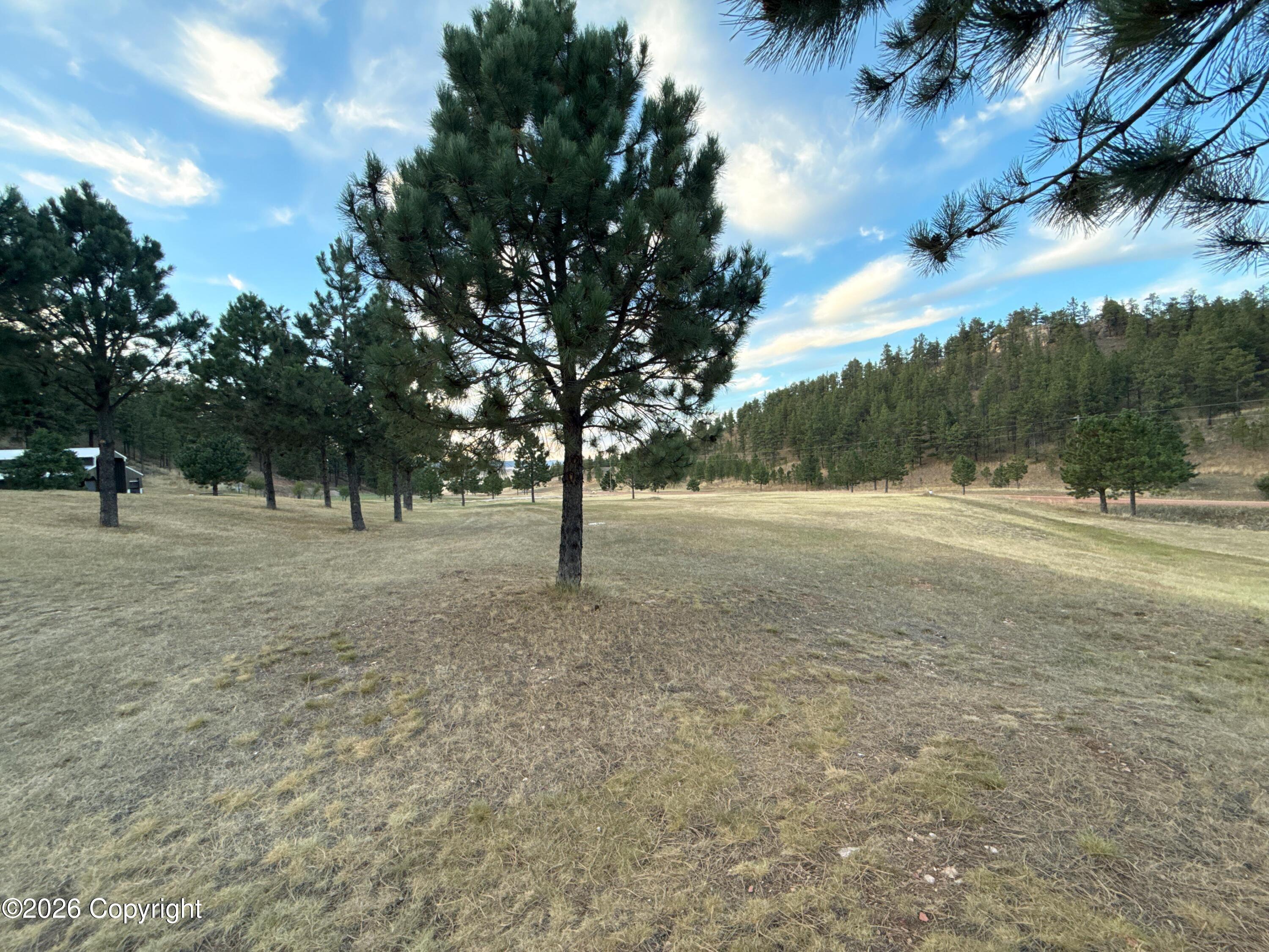 272 Canyon Springs Road Sundance, WY 82729 - Photo 17 of 56 Gallery Image 17