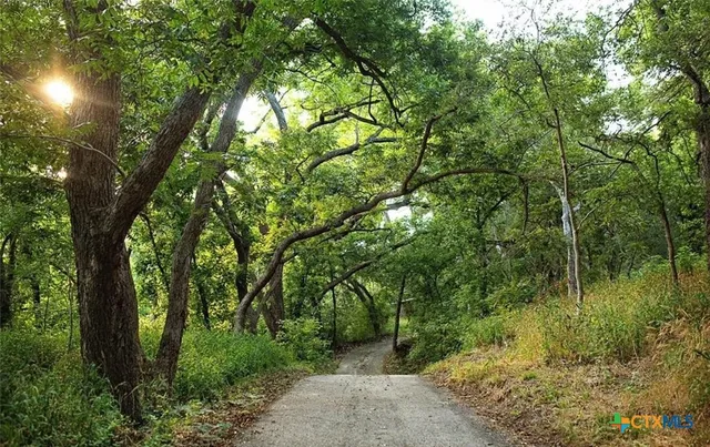 a view of backyard with green space