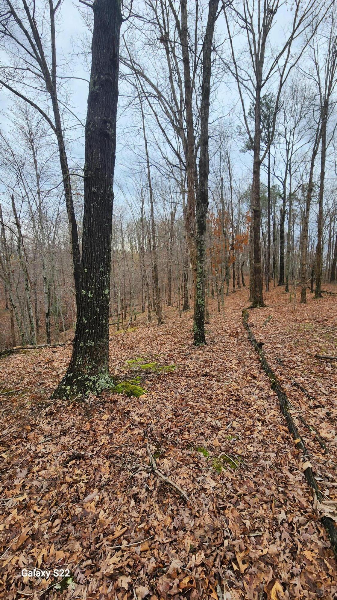 3504 East Fork Road Means, KY 40346 - Photo 6 of 11 20250405_173711