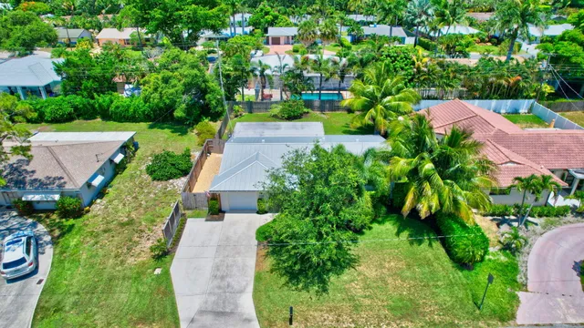 a view of a garden with plants
