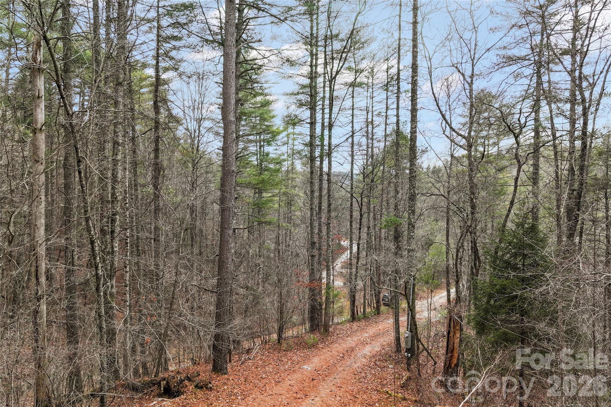 109 Tumblebug Trail Road Flat Rock, NC 28731 - Photo 10 of 27