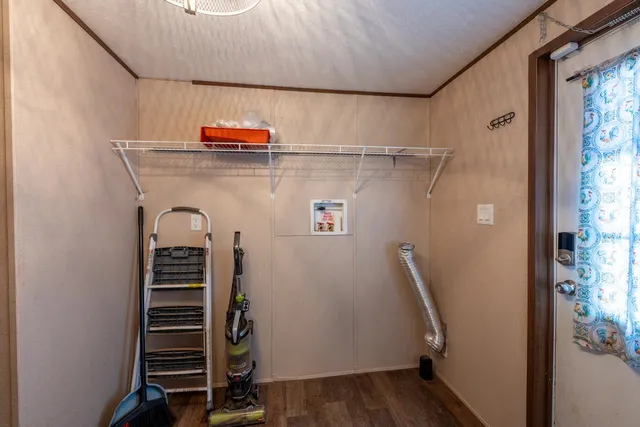 a view of a bunch of flowers