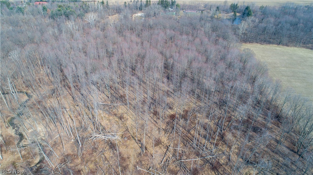 Boston Road Columbia Station, OH 44028 - Photo 18 of 19 Gallery Image 18