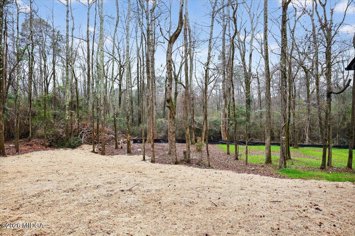 2854 Montpelier Road Forsyth, GA 31029 - Photo 23 of 23 23