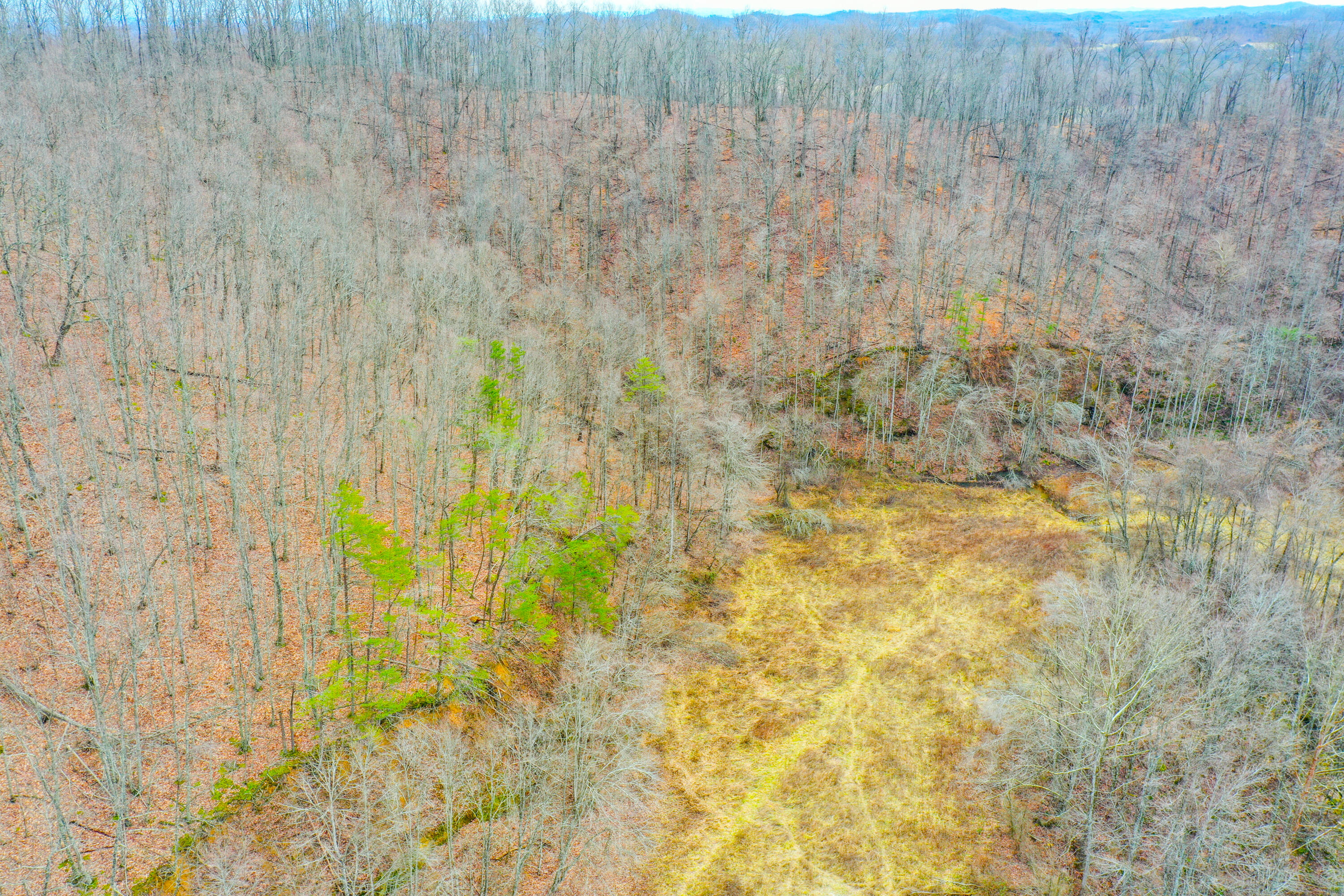 1763 Burnett Road London, KY 40744 - Photo 46 of 92 org_bdedb338fa7a7329_1706642218000-HDR