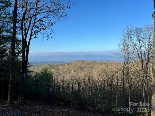 a view of a city with lots of trees