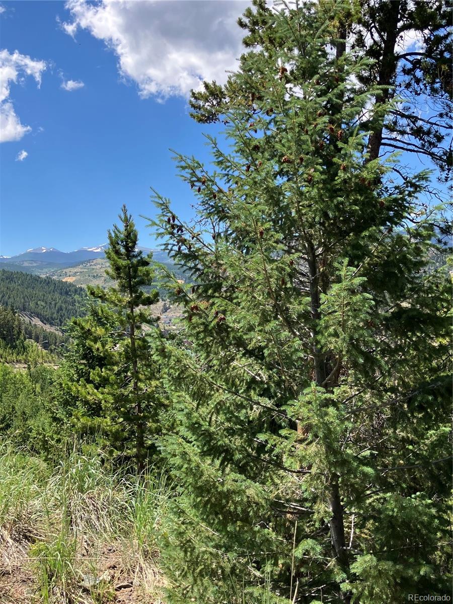 3 Miners Road Black Hawk, CO 80422 - Photo 2 of 11