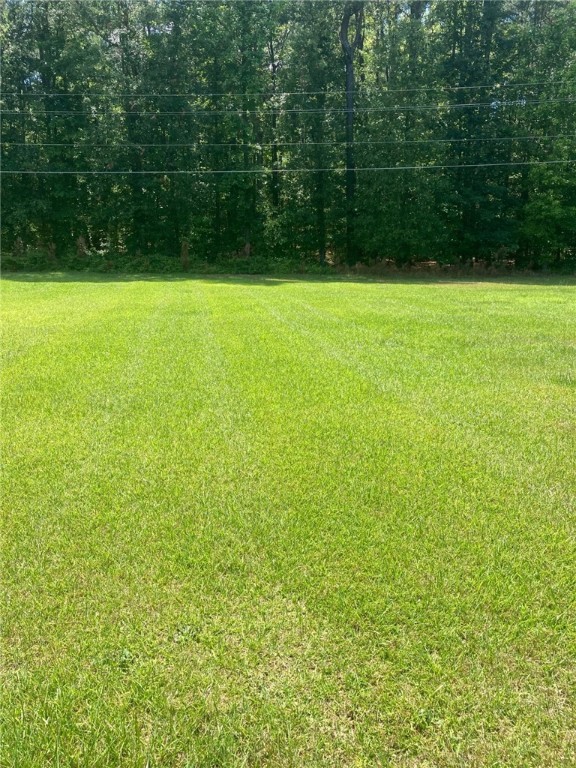 304 Tillotson Road Anderson, SC 29621 - Photo 13 of 29 Back yard view