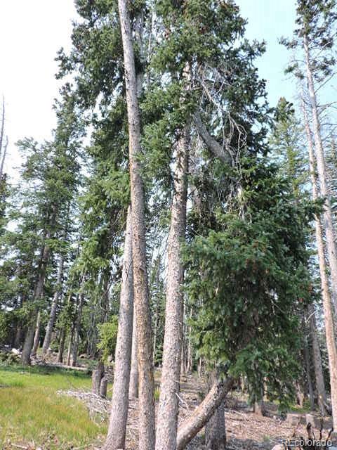6548 Giesse Road San Luis, CO 81152 - Photo 39 of 45 a view of yard with green space