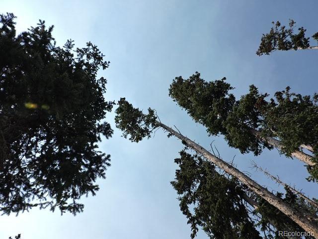 6548 Giesse Road San Luis, CO 81152 - Photo 40 of 45