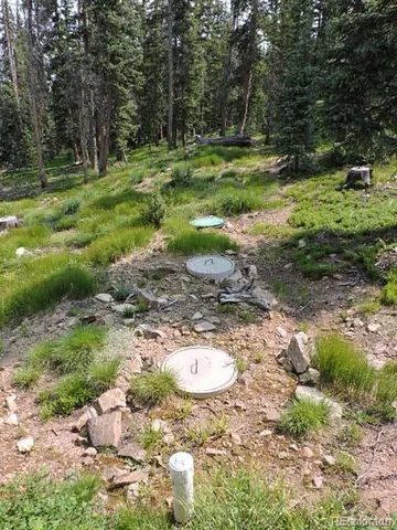 a view of a trees with a yard