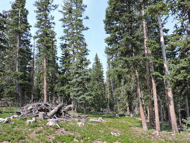 6548 Giesse Road San Luis, CO 81152 - Photo 9 of 45 a view of a tree in a yard