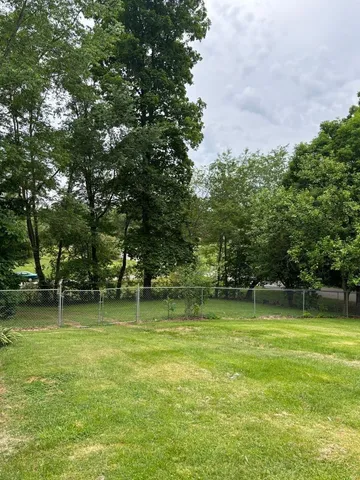 a view of a trees in a park