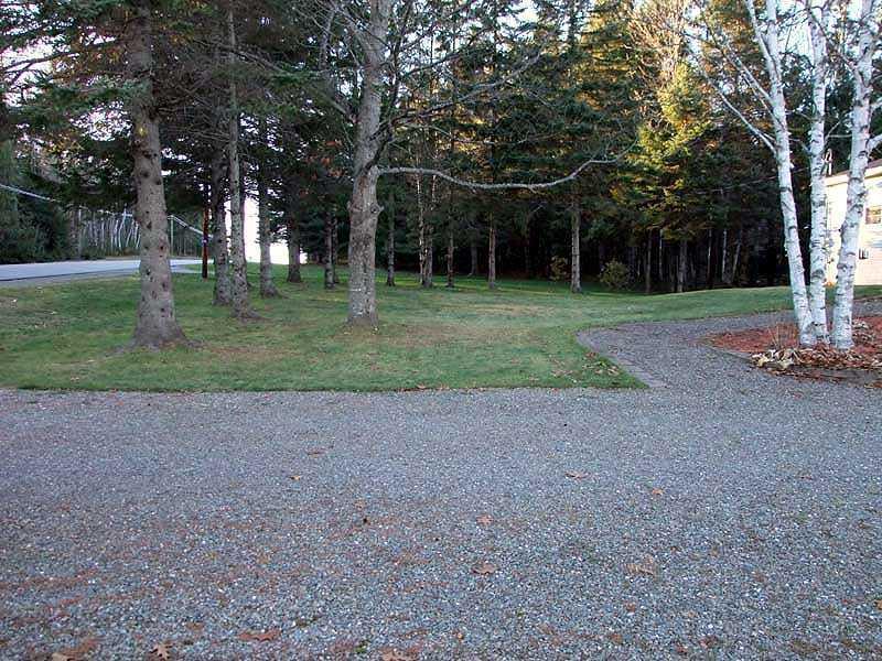 355 Drews Lake Road New Limerick, ME 04761 - Photo 4 of 35 Yard/Garden.