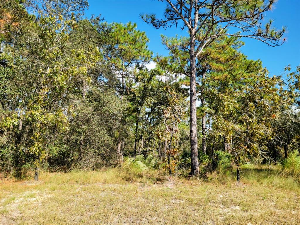 16396 Manor Road Weeki Wachee, FL 34614 - Photo 1 of 1 Beautiful Lot awaiting your New Home