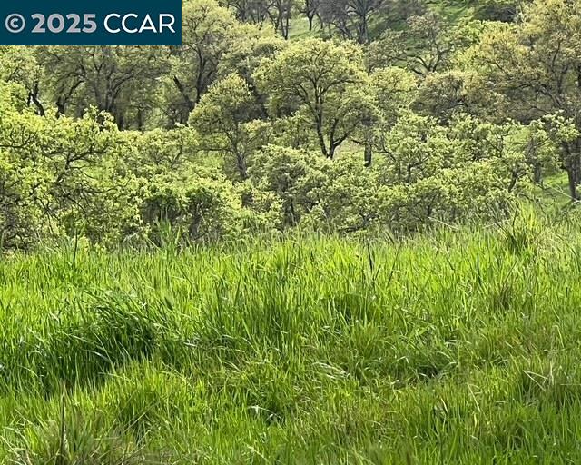 11 Frenchbar Road Waterford, CA 95386 - Photo 6 of 12 a view of a sign of a park