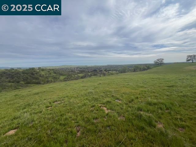 11 Frenchbar Road Waterford, CA 95386 - Photo 10 of 12 a view of a field