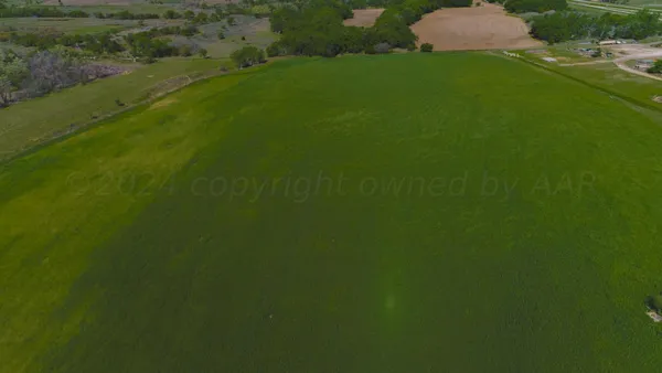 a view of a green field with plants