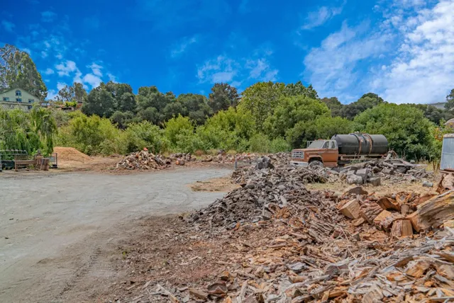 a view of a yard with a tree