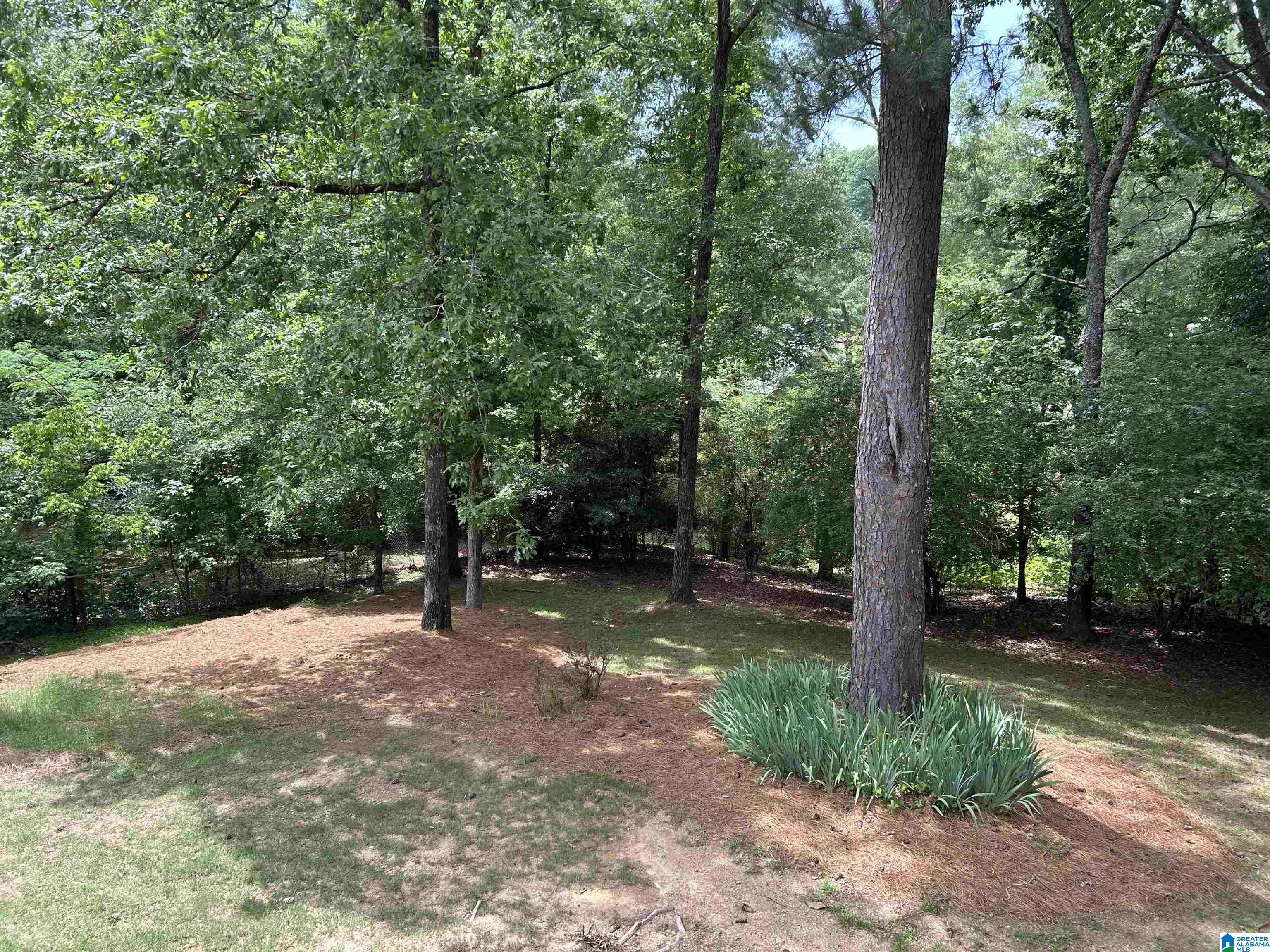225 Oakmont Road Birmingham, AL 35244 - Photo 8 of 17