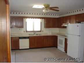 113 Calvin Avenue Springfield, IL 62704 - Photo 3 of 7