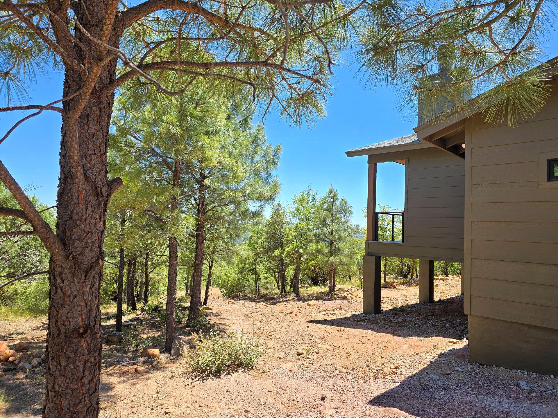 240 Rockinghorse Bend Road Payson, AZ 85541 - Photo 45 of 53 a view of a yard with plants and trees