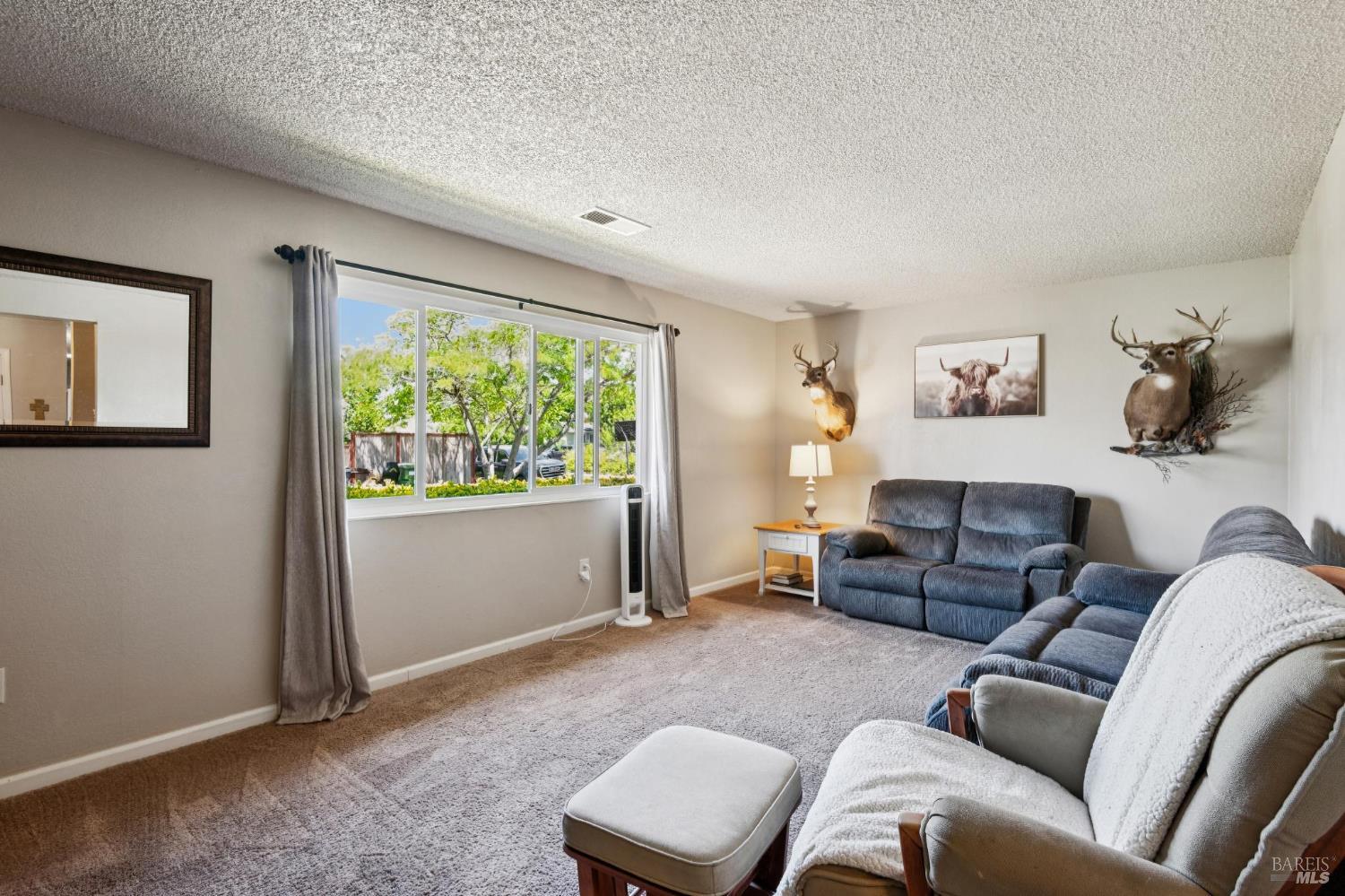 7293 Circle Drive Rohnert Park, CA 94928 - Photo 5 of 37