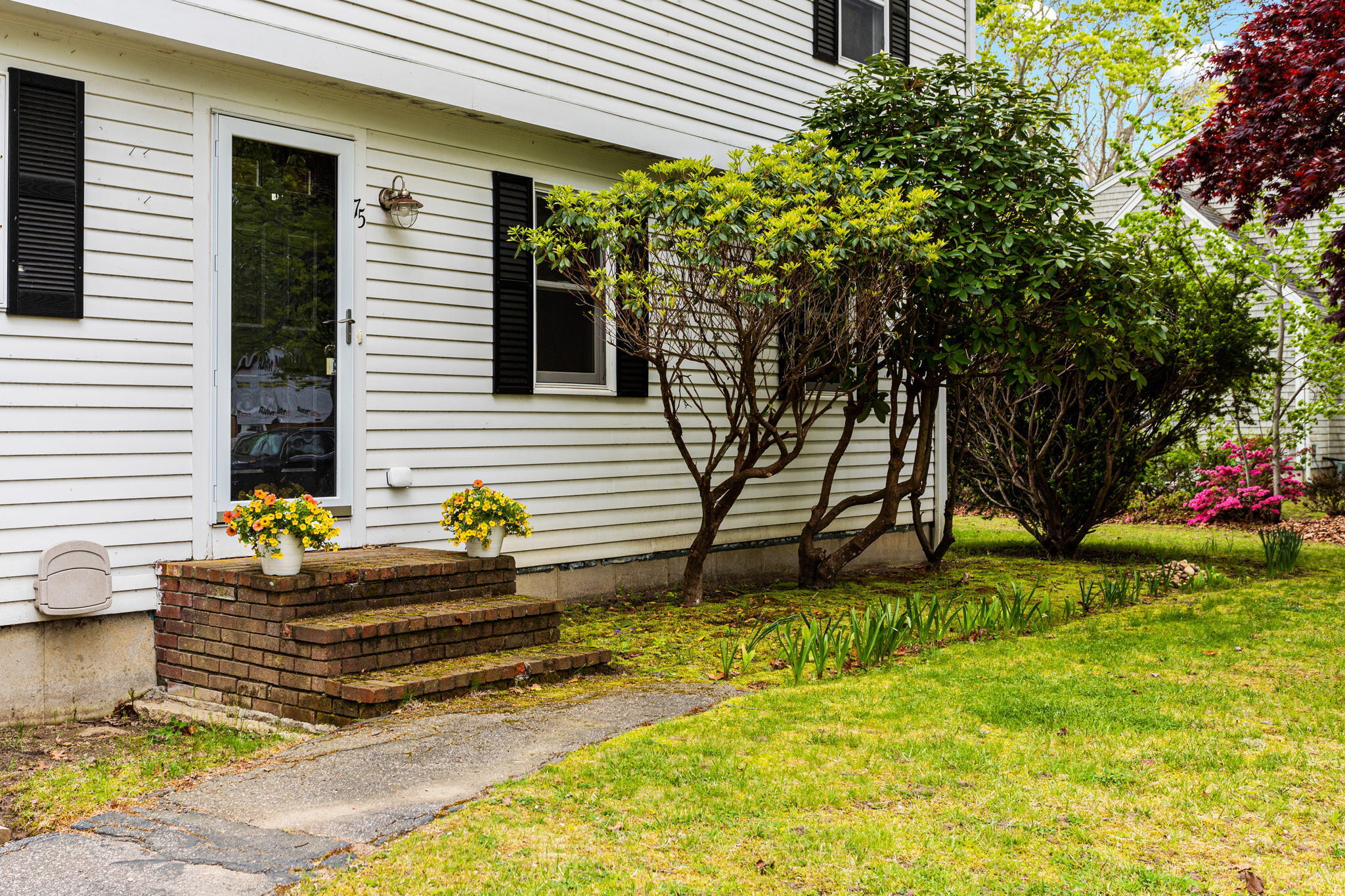 75 Lake Leaman Road Falmouth, MA 02540 - Photo 23 of 30 a house view with a backyard space
