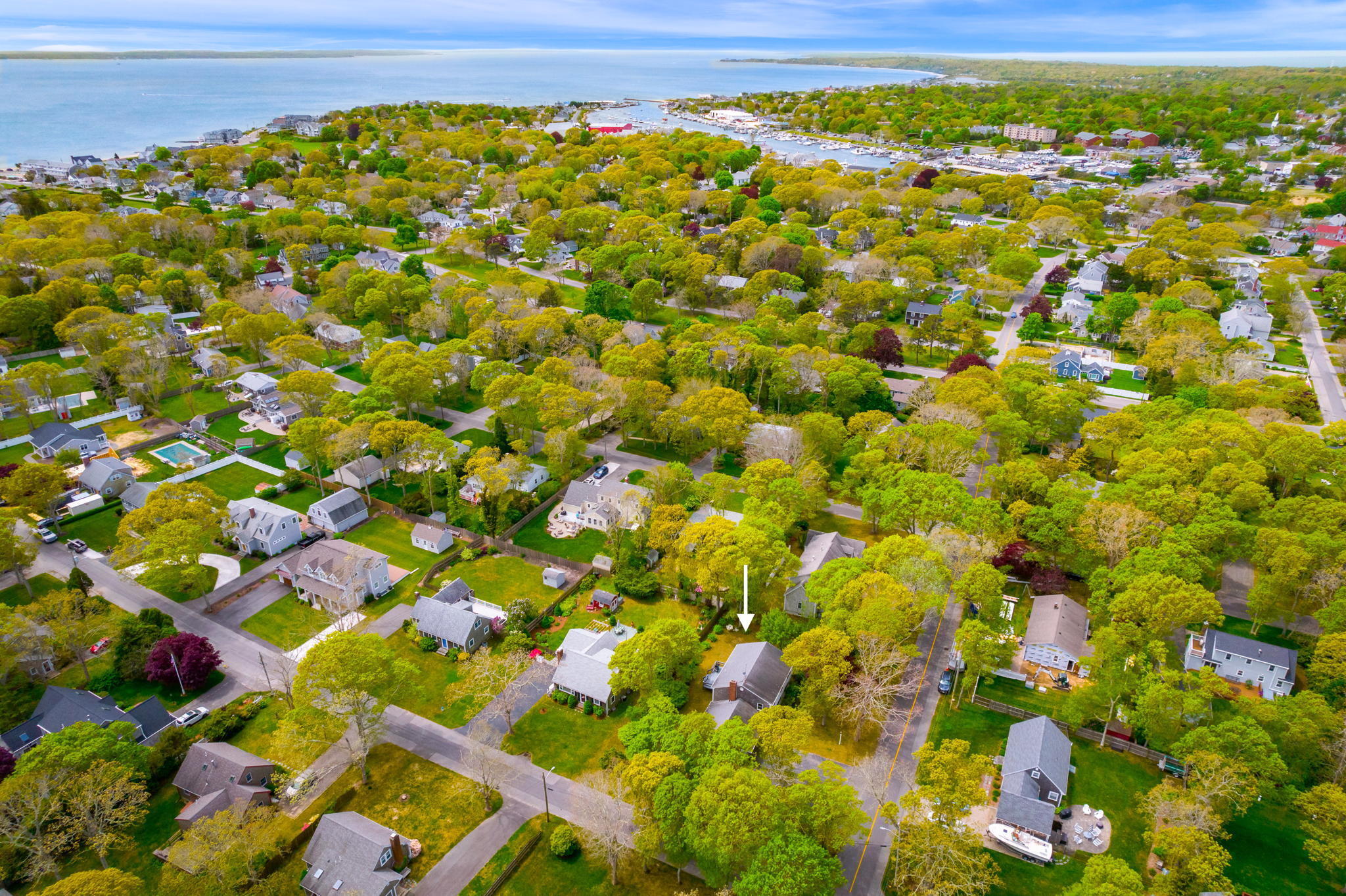 75 Lake Leaman Road Falmouth, MA 02540 - Photo 30 of 30 a view of a area with lots of flowers